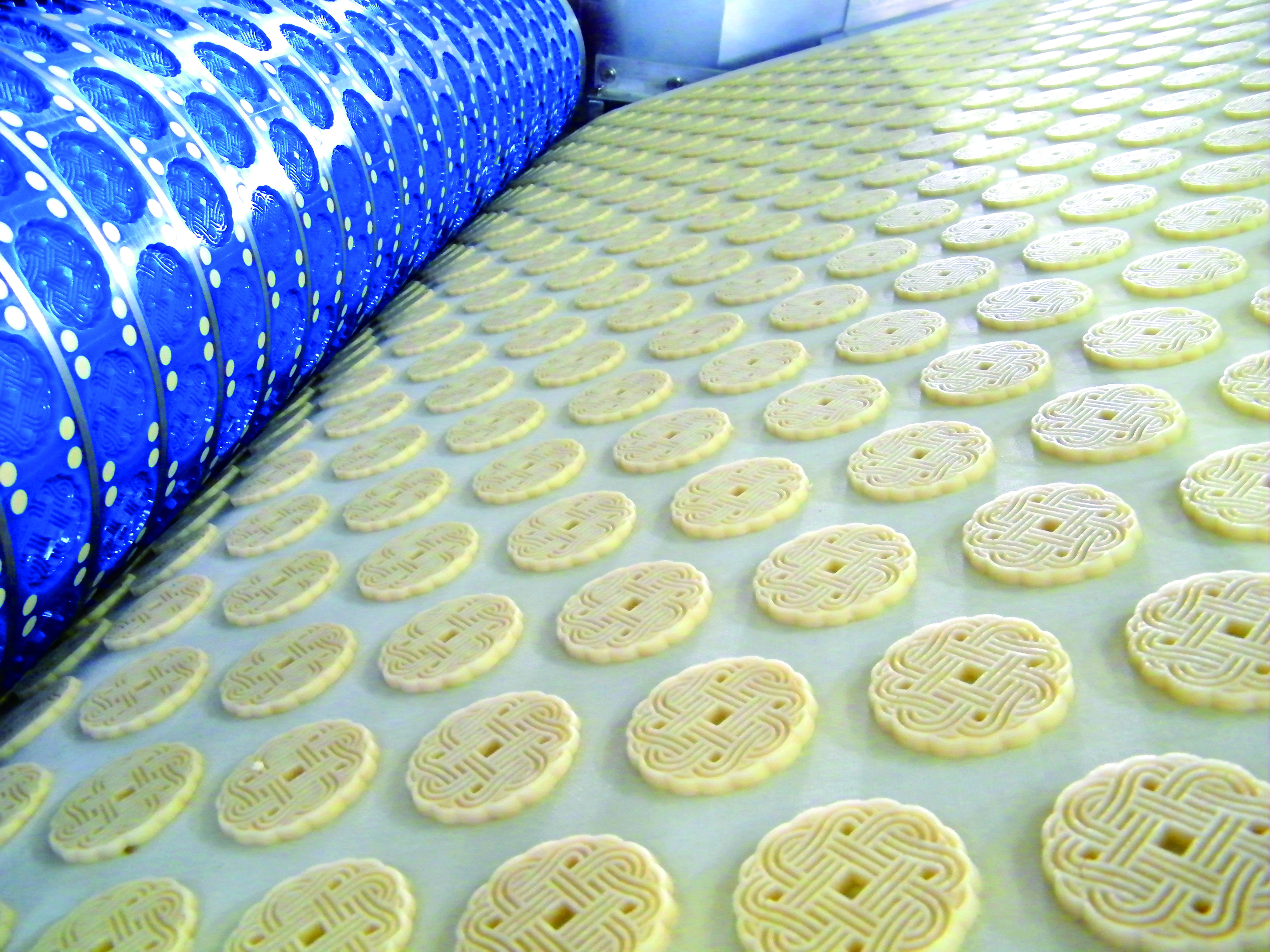 Moucher rotatif de biscuits personnalisé pour la fabrication de biscuits