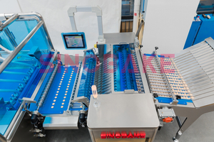Machine de sandwich à la machine à sandwiching en acier inoxydable entièrement automatique
